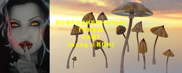 марки nbome Няндома