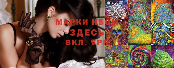 ПСИЛОЦИБИНОВЫЕ ГРИБЫ Нязепетровск