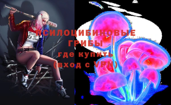 шишки Нягань
