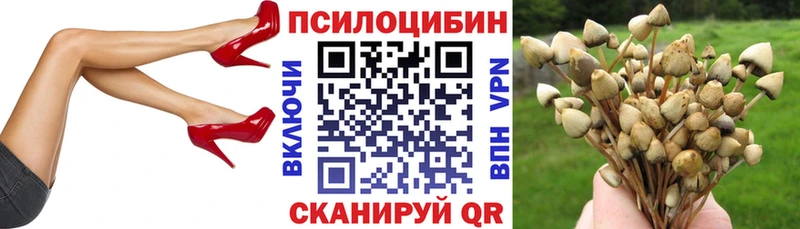 Галлюциногенные грибы Magic Shrooms  Ревда 