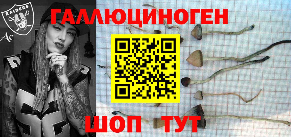 Псилоцибиновые грибы MAGIC MUSHROOMS Ревда